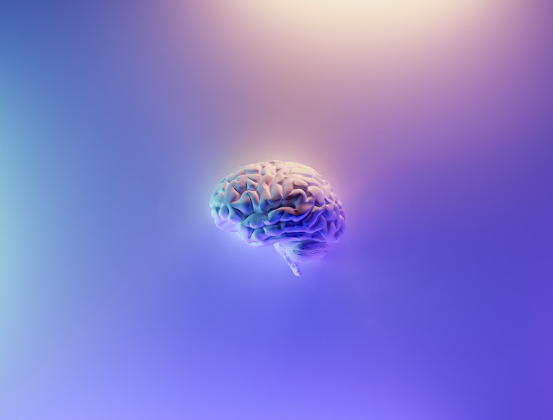 A brain on a desk lit by pastel lighting of blue, purple, and yellow